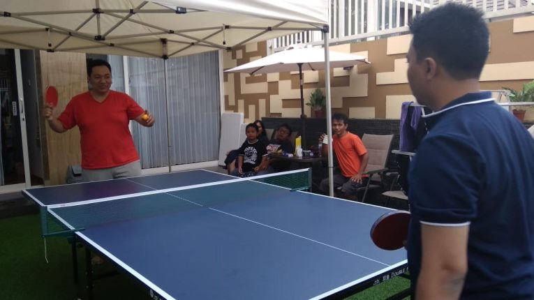 pingpong1